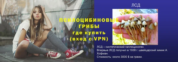 сатива Алексин