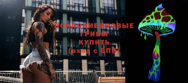 сатива Алексин