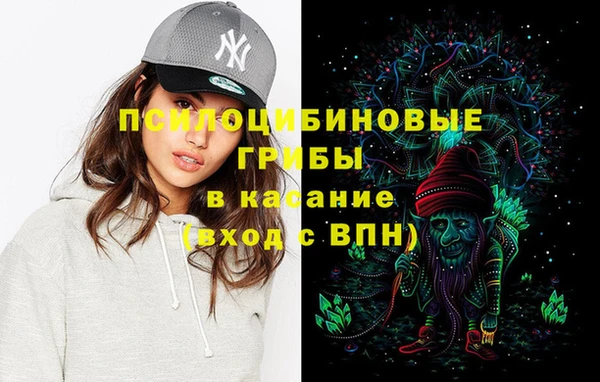 дмт Балахна