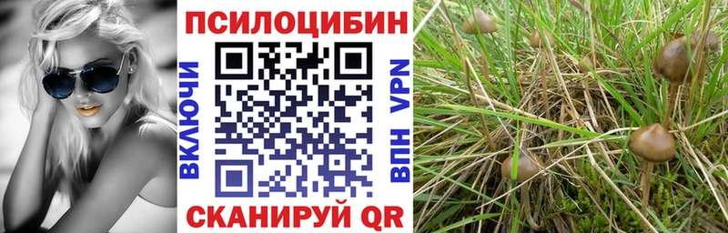 наркота  Петропавловск-Камчатский  Галлюциногенные грибы MAGIC MUSHROOMS 