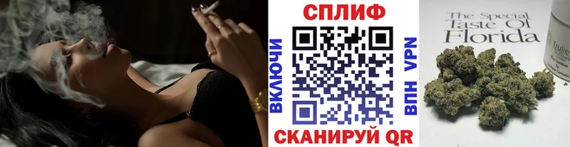 Конопля сатива цена наркотик Петропавловск-Камчатский